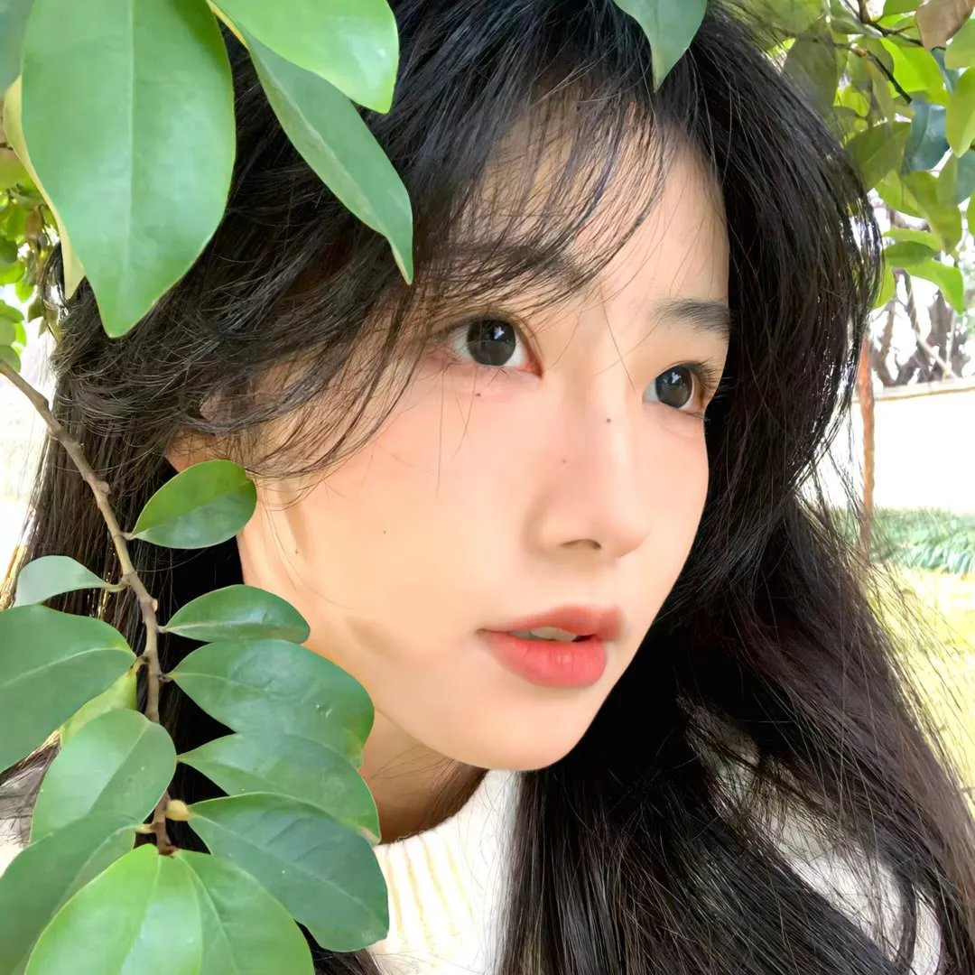 中华万岁